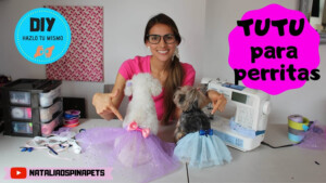 tutú para perros paso a paso