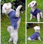 Suéter a crochet con bolsillos y botones para mascotas
