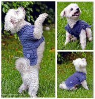 Suéter a crochet con bolsillos y botones para mascotas