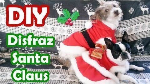 DIY Disfraz Santa Claus para mascotas