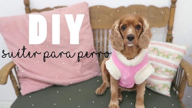 DIY suéter de tela polar para mascota