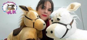 DIY Almohada caballo paso a paso