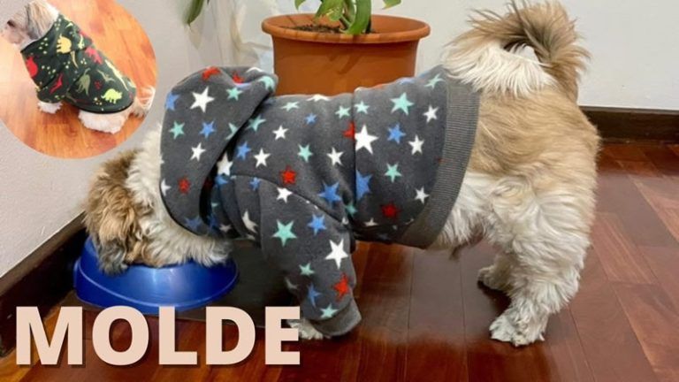 Suéter con capucha para mascotas