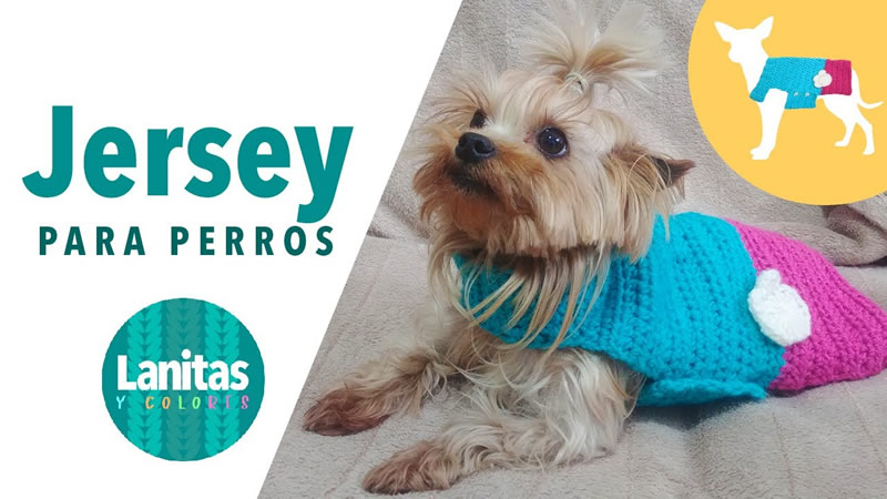 Jersey para mascotas tejido Crochet