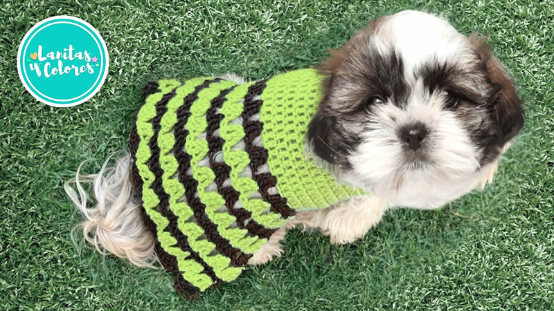 Jersey suéter para mascotas