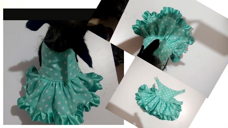 Vestido para tu mascota