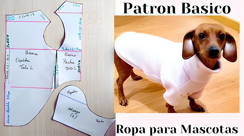 Suéter para mascotas cuello Alto